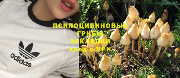 прущие крисы Володарск