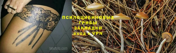 прущие крисы Володарск