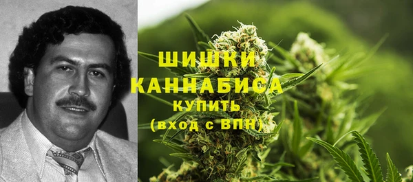 шишки Тихвин