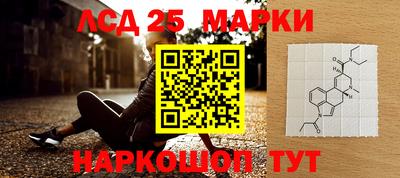 PSILOCYBIN Бийск