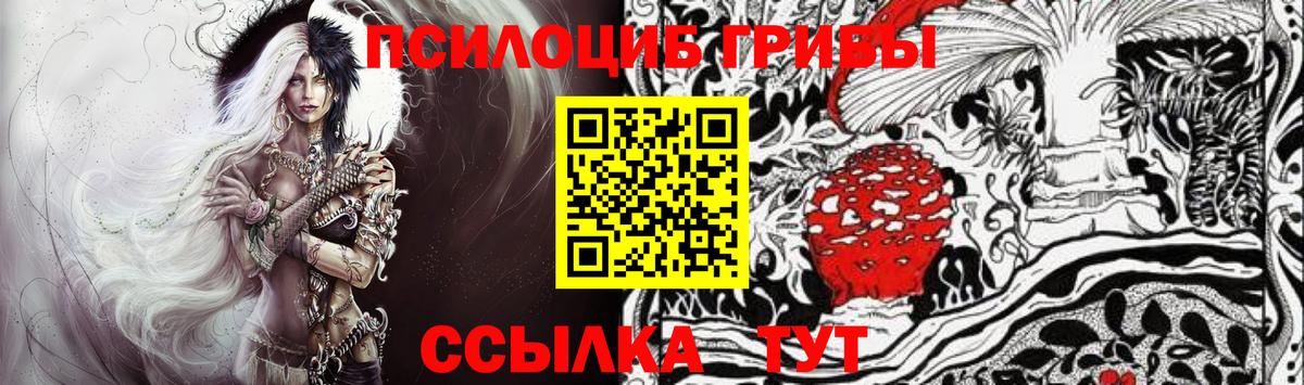 Галлюциногенные грибы GOLDEN TEACHER  Зеленодольск  Псилоцибиновые грибы Cubensis 