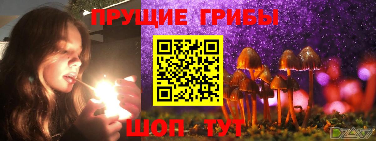 Зеленодольск  Галлюциногенные грибы Magic Shrooms  Галлюциногенные грибы Psilocybe  Вход с VPN 